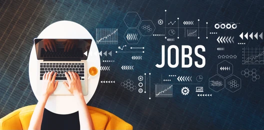 Expérience professionnelle